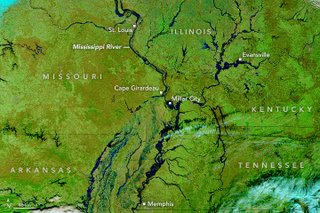 Illustration for article titled This Is What the Historic Flooding of the Mississippi River Looks Like